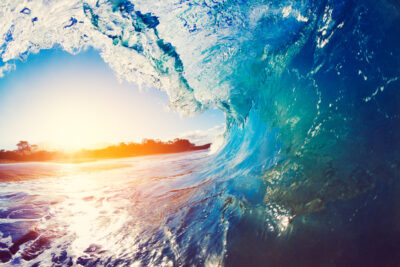 Create a Wave of momentum and change your life for good!