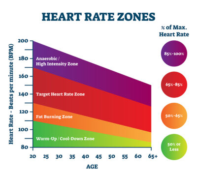 Fat Burning Heart Rate Zones Chart